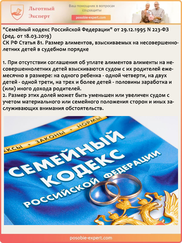 Статьи о детях в семейном кодексе. Семейный кодекс РФ. Семейный кодекс алименты. Взыскание алиментов фото.